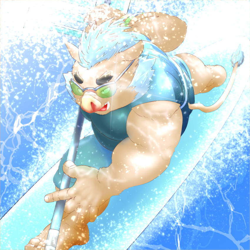 2018 anthro boar clothing gouryou male mammal mohawk nameko_no_neko overweight overweight_male porcine solo surfing tight_clothing tokyo_afterschool_summoners water