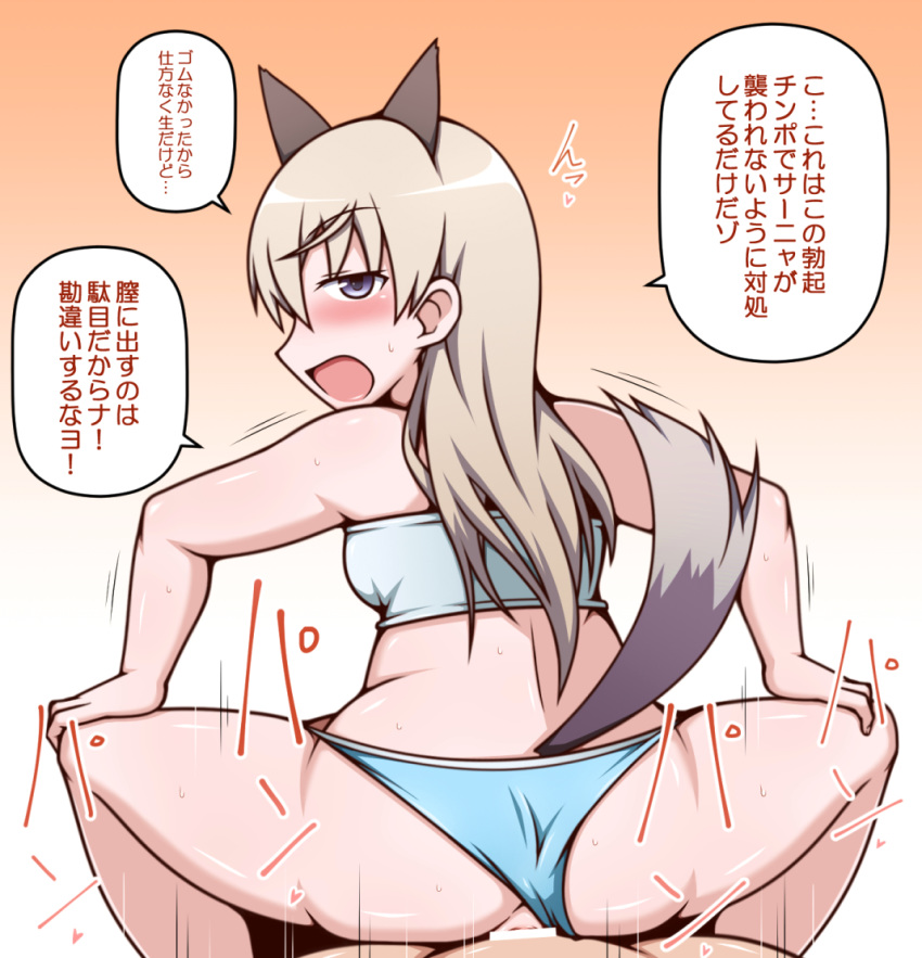 1girl animal_ears ass bar_censor bikini blue_bikini blush censored clothed_sex eila_ilmatar_juutilainen fox_ears gradient gradient_background hetero looking_back open_mouth orange_background purple_eyes sex simple_background strike_witches swimsuit tail translation_request vaginal white_hair world_witches_series yagen_sasami