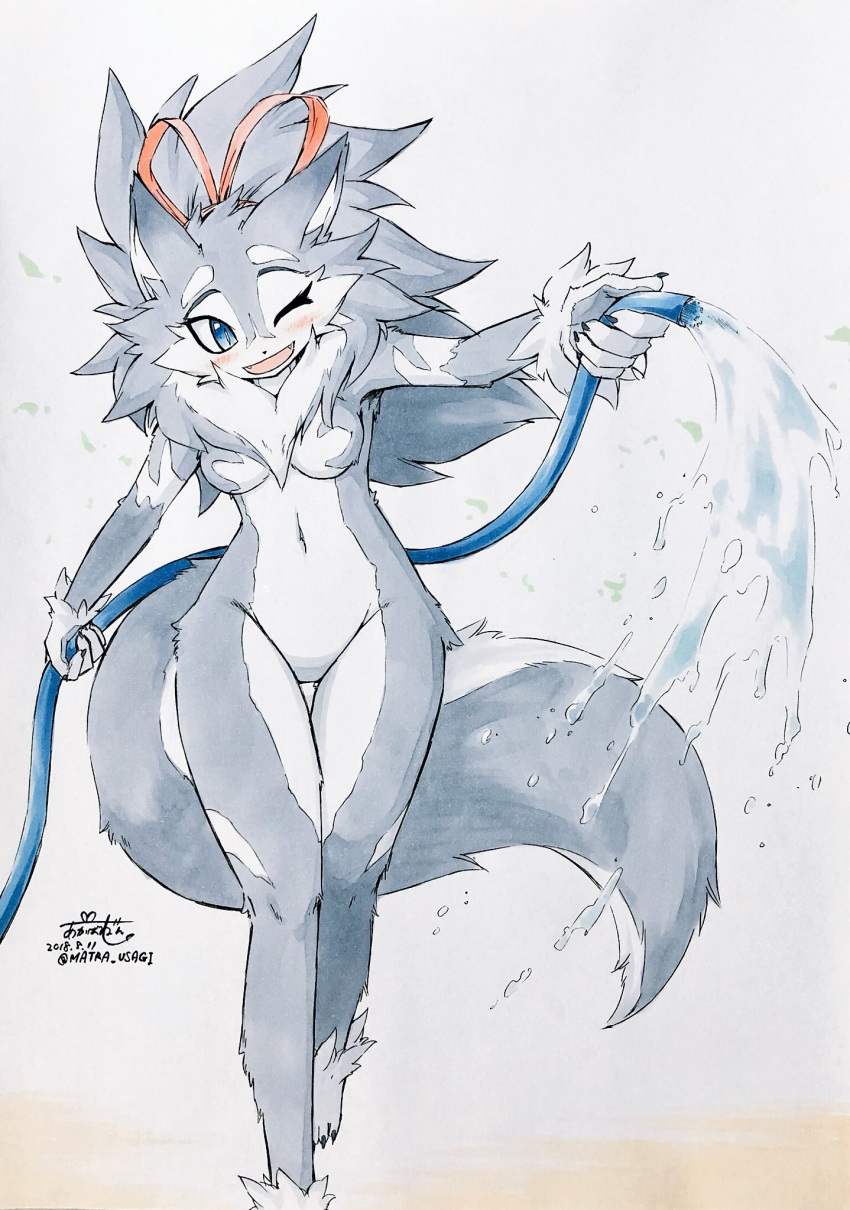 akabane_jin blue_eyes breasts canine chest_tuft dog featureless_breasts featureless_crotch female fur grey_fur happy hose husky lia mammal one_eye_closed ribbons traditional_media_(artwork) tuft water white_fur