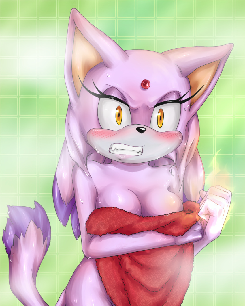 amortem-kun angry anthro blaze_the_cat blush breasts cat convenient_censorship eyelashes feline female fire fog hair mammal nude solo sonic_(series) towel wet