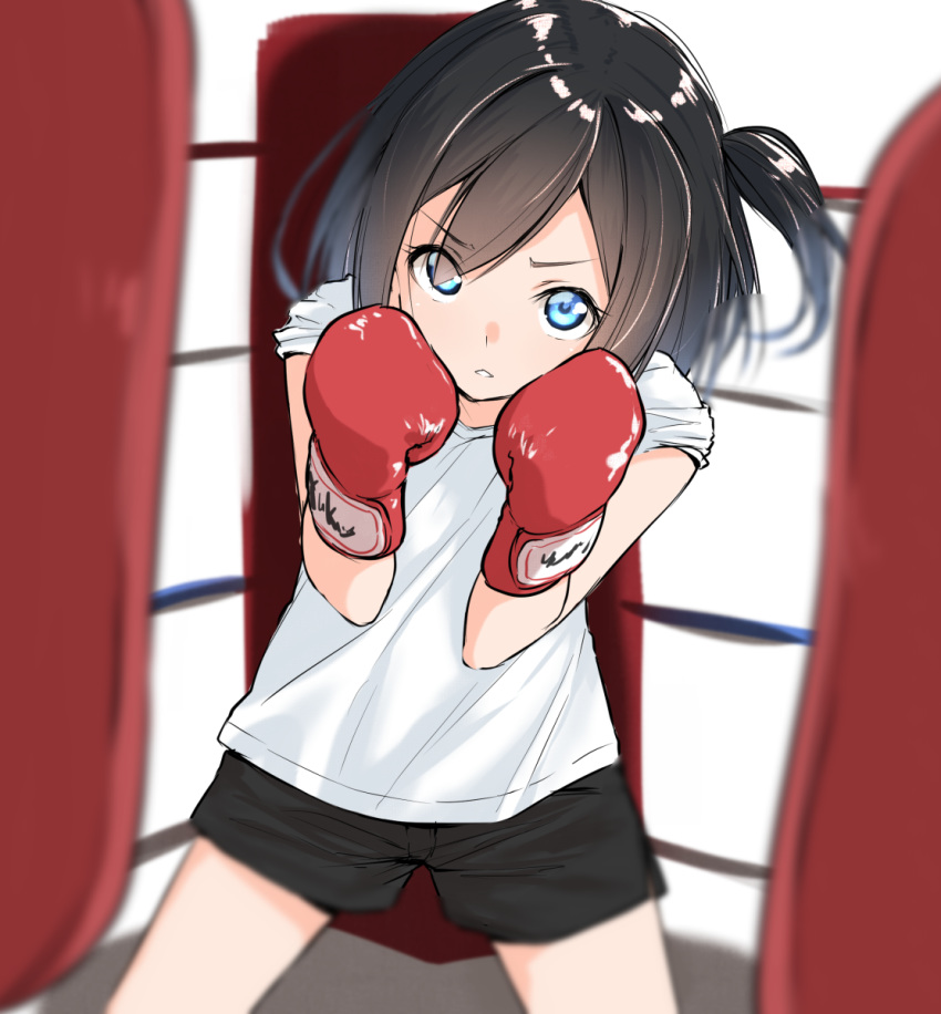 bangs black_hair black_shorts blue_eyes blurry blurry_background boxing_gloves boxing_ring commentary_request depth_of_field eyebrows_visible_through_hair hair_between_eyes hair_over_one_eye hands_up head_tilt highres looking_at_viewer one_side_up original shirt short_shorts short_sleeves shorts solo standing suzunari_shizuku white_shirt yuki_arare