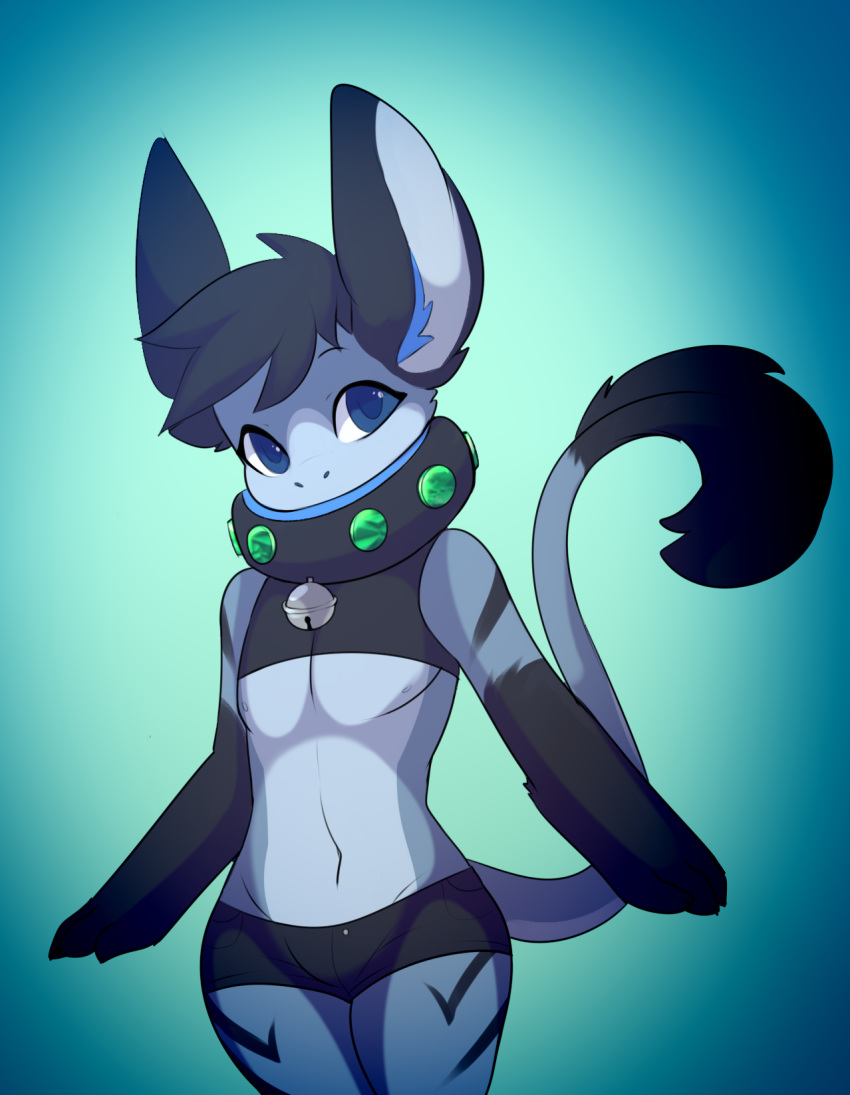 anthro bell black_hair blue_eyes box-cat clothed clothing collar dragon fur hair hybrid looking_at_viewer male mammal navel shirt shorts simple_background solo standing