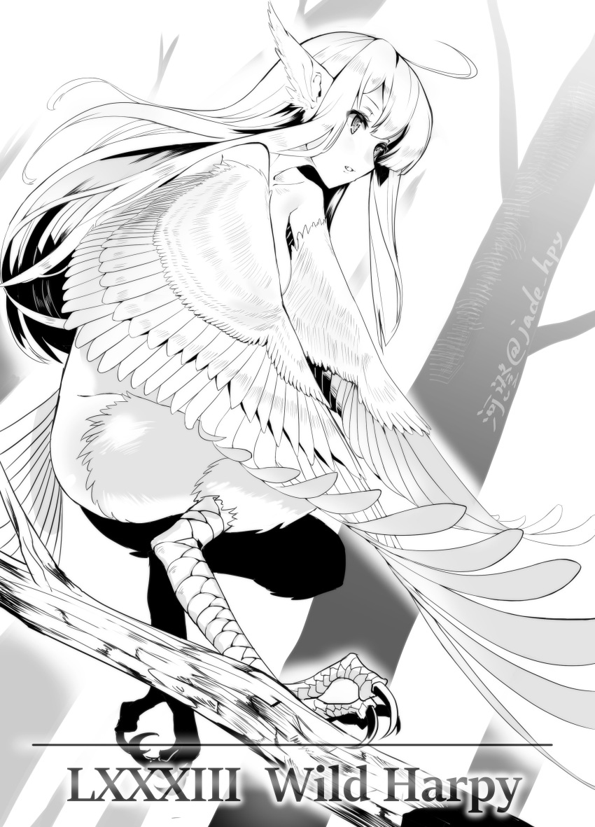 absurdres ahoge animal_ears claws commentary_request flying from_side greyscale harpy highres kawasumi_(tk2k_jade) long_hair monochrome monster_girl nude original parted_lips solo tree twitter_username wings