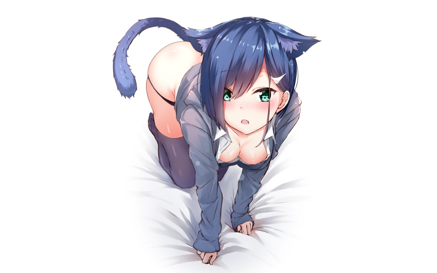 animal_ears blush catgirl fang panties photoshop short_hair tail thighhighs underwear white yukishiro_arute