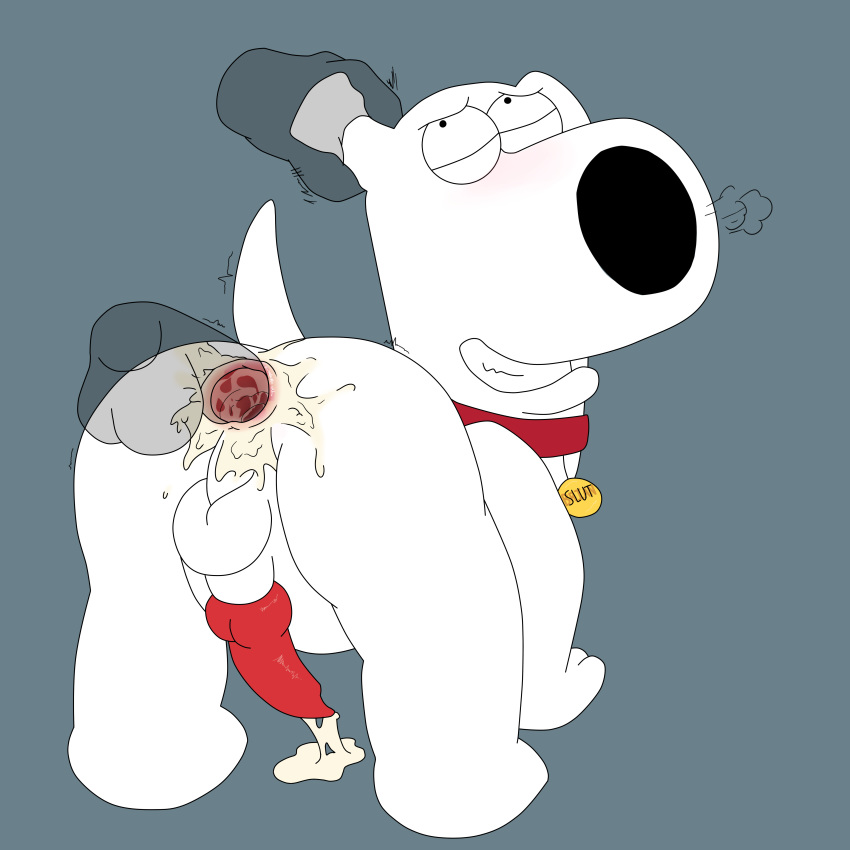 2018 anal anal_penetration backsack balls blush brian_griffin butt canine cum cum_in_ass cum_inside dog erection faceless_male family_guy fur knot magzol male male/male mammal open_mouth orgasm penetration penis sex simple_background smile tongue white_balls