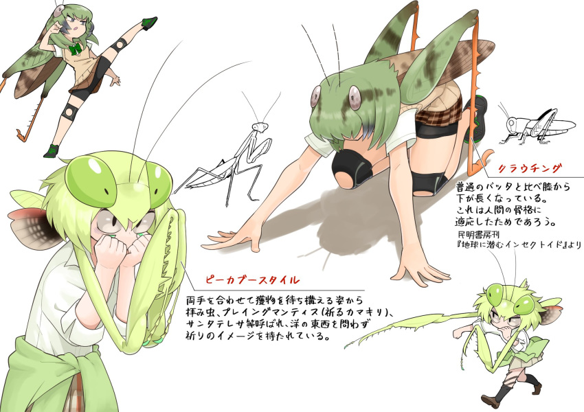:o all_fours antennae bangs bare_arms bike_shorts black_legwear bow bowtie brown_footwear bug character_sheet chibi clenched_hands clothes_around_waist collared_shirt commentary evolvingmonkey fighting_stance grasshopper grasshopper_inoue green_nails hands_up highres insect insect_girl kicking kneehighs kneeling leg_up loose_bowtie mantis_akiyama medium_hair multiple_girls nail_polish original plaid plaid_skirt pleated_skirt praying_mantis punching school_uniform shirt shoes short_hair short_sleeves shorts shorts_under_skirt skirt sleeves_rolled_up sprinting_pose sweater_around_waist sweater_vest text_focus translation_request twintails v-shaped_eyebrows