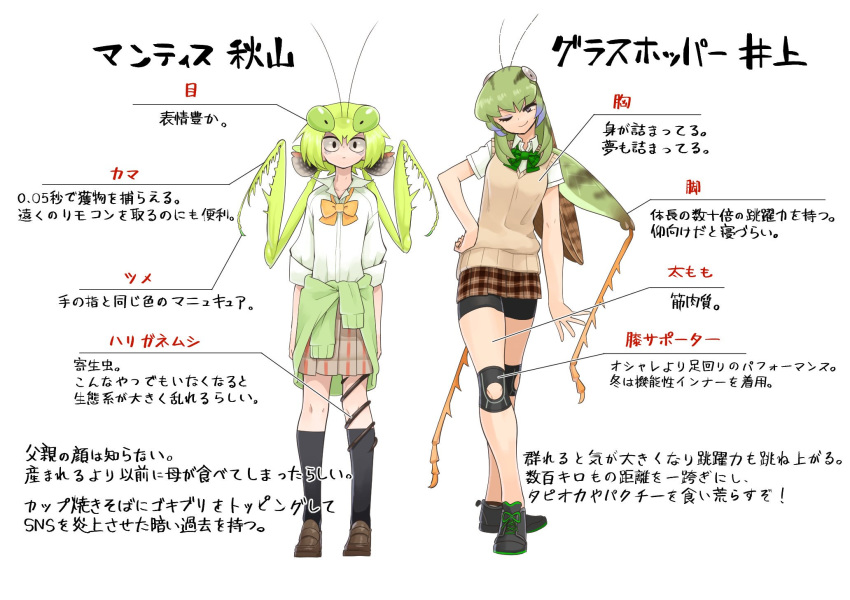 antennae bangs bare_arms bike_shorts black_eyes black_legwear bow bowtie brown_footwear bug character_name character_sheet clothes_around_waist collared_shirt commentary dot_nose evolvingmonkey full_body grasshopper grasshopper_inoue green_hair grey_eyes hand_on_hip highres insect insect_girl kneehighs looking_at_viewer loose_bowtie mantis_akiyama medium_hair multiple_girls one_eye_closed original parasite partially_translated plaid plaid_skirt pleated_skirt praying_mantis school_uniform shirt shoes short_hair short_sleeves shorts shorts_under_skirt simple_background skirt sleeves_rolled_up smile standing sweater_around_waist sweater_vest text_focus translation_request twintails white_background worms