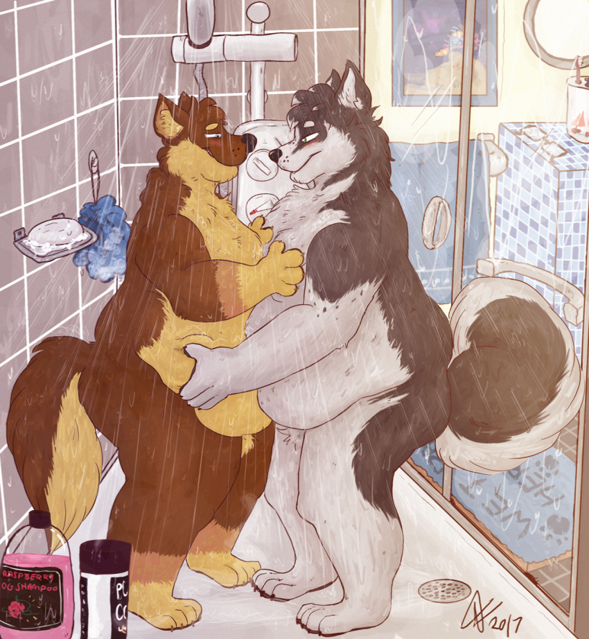 2017 anthro belly belly_overhang big_belly black_nose blush brown_fur canine digital_media_(artwork) dog duo eye_contact fur green_eyes grey_fur hand_on_chest hand_on_stomach love malamute male male/male mammal nude overweight raccoonkind romantic_couple shower signature slightly_chubby smile standing