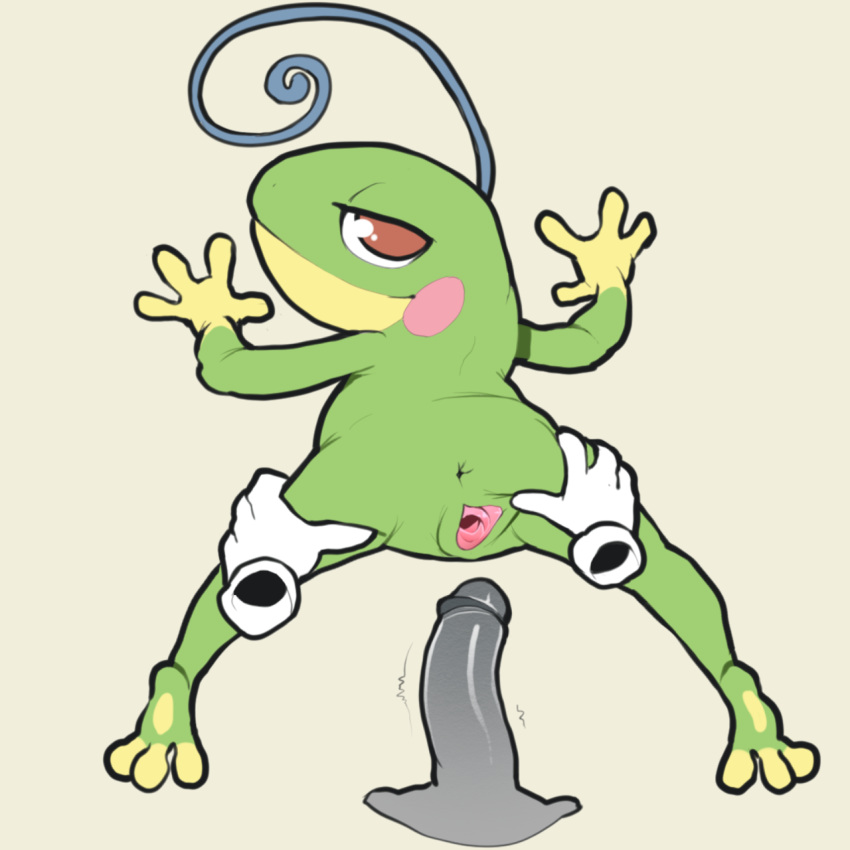 amphibian anus disembodied_hand disembodied_penis erection female itsunknownanon male nintendo penis pok&eacute;mon pok&eacute;mon_(species) politoed pussy simple_background solo_focus spread_pussy spreading video_games