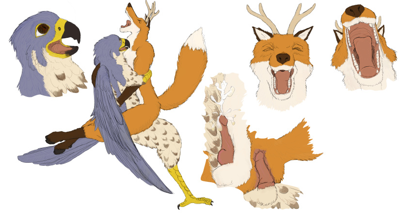 2018 alpha_channel anal anal_penetration anthro antlers avian balls beak bird butt canine close cum duo embrace erection falcon feathered_wings feathers fox fur gloves_(marking) grey_feathers hooves horn male male/male mammal markings open_mouth penetration penis sex shabnack_(artist) simple_background tongue transparent_background wings