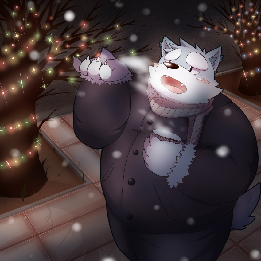 2016 anthro belly blue_fur blush canine clothing drinks fur humanoid_hands male mammal night overweight overweight_male pants park_kr solo sweater winter
