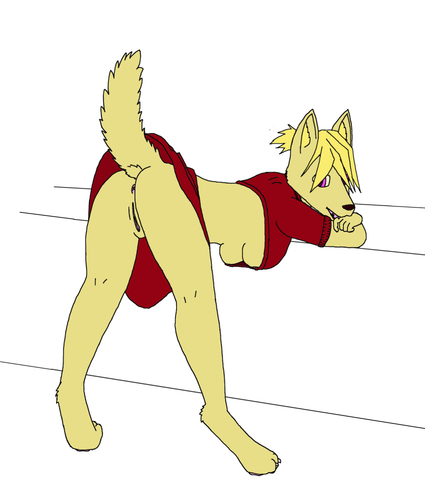anthro anus bent_over breasts canine clothed clothing digital_media_(artwork) female gl17chw3rk5_(artist) mammal partially_clothed presenting pussy raised_tail simple_background solo under_boob
