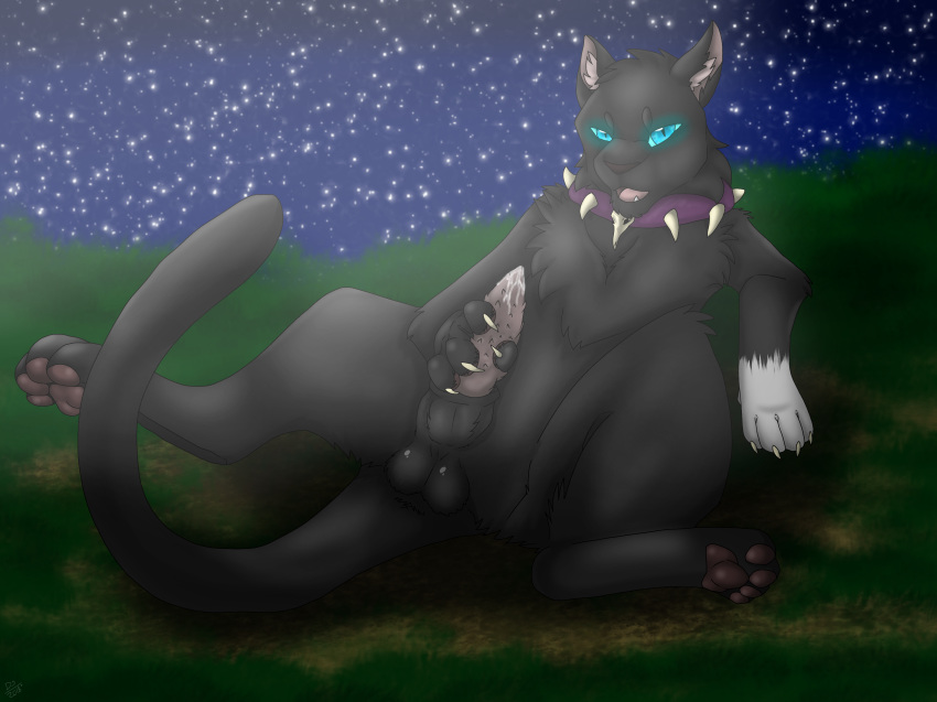 2018 cat digital_media_(artwork) erin_hunter feline feral fur looking_at_viewer male mammal penis scourge scourge_(warrior_cats) smile solo thewolfofthestars warrior warrior_cats