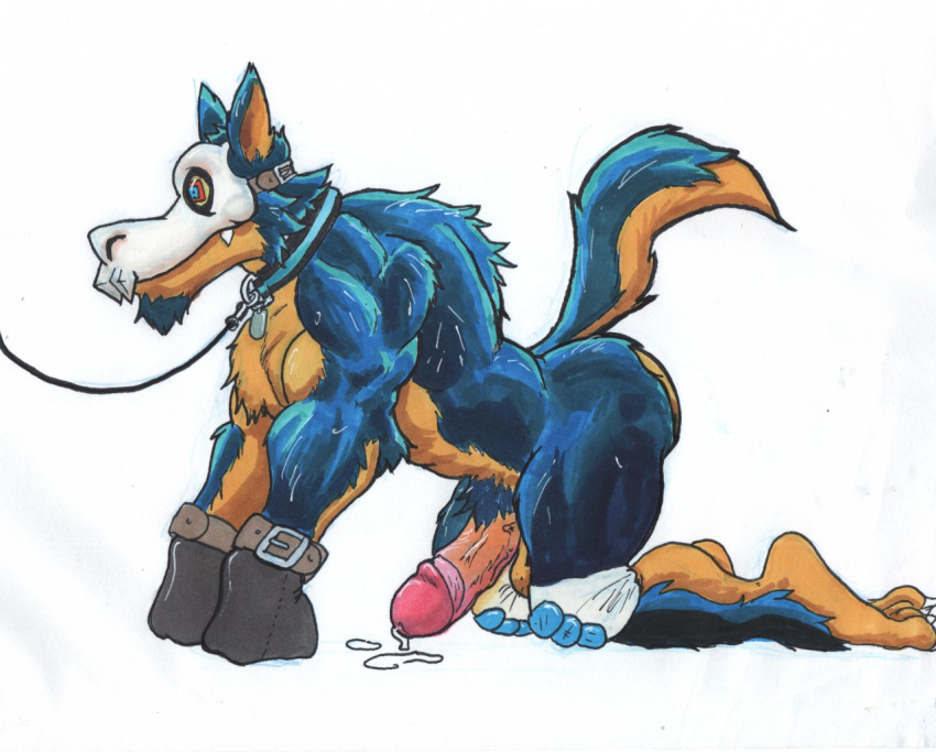 2018 anthro azul_(artist) balls bdsm biped bondage bound butt canine collar domination dripping erection fur leaking leash male mammal mittens muscular muscular_male nude penis petplay roleplay sex simple_background solo wolf