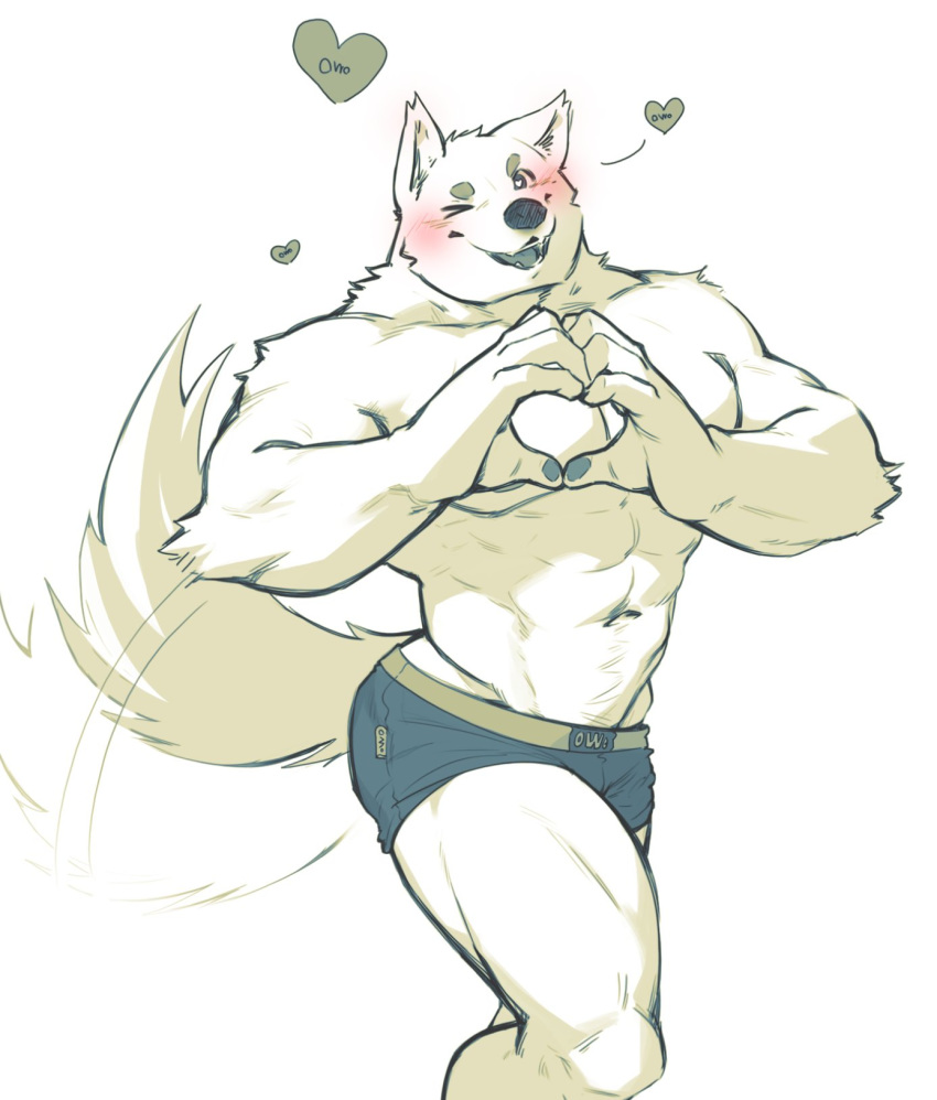 &lt;3 &lt;3_eyes 2018 abs anthro biceps canine clothing dona908 fur hi_res male mammal muscular muscular_male navel one_eye_closed pecs underwear wink