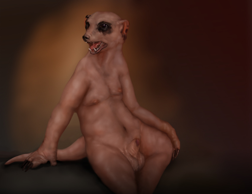hairless herpestid male mammal meerkat mongoose nude penis simple_background solo splice_(artist) transformation