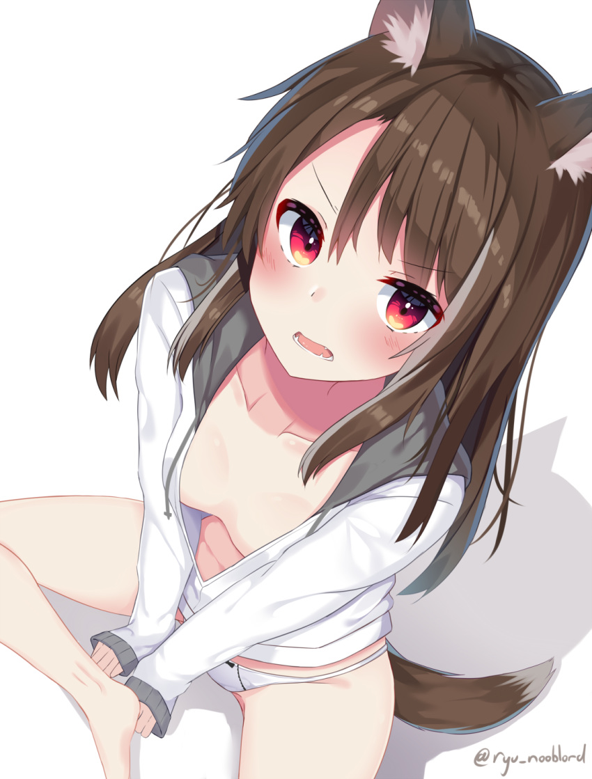 animal_ears bangs bare_legs barefoot blush bow bow_panties breasts brown_hair collarbone commentary downblouse eyebrows_visible_through_hair fangs from_above hair_between_eyes highres hood hood_down hooded_jacket jacket long_hair long_sleeves looking_at_viewer looking_up mizuki_ryuu no_pants open_mouth original panties red_eyes shadow sitting sleeves_past_wrists small_breasts solo tail twitter_username underwear white_background white_jacket white_panties wolf_ears wolf_girl wolf_tail