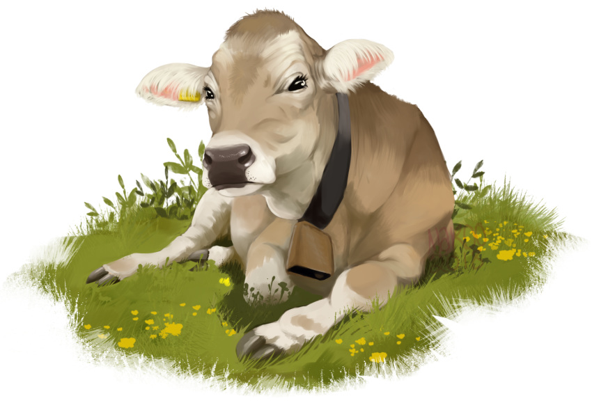 2018 alpha_channel bovine brown_swiss_cattle cattle collar cowbell ear_tag eyelashes female feral flower grass hooves lying mammal nakoo on_ground plant simple_background solo transparent_background