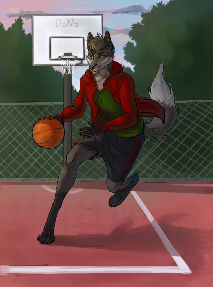 basketball canine clothed clothing danawolfin digitigrade fox fur green_eyes hi_res hoodie jewelry male mammal markings necklace outside shorts socks_(marking) solo sport