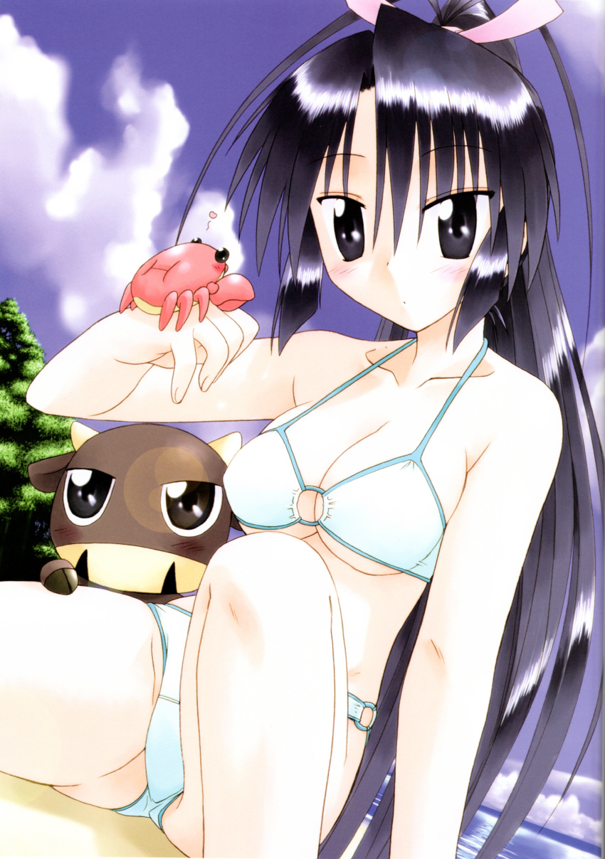 absurdres animal antenna_hair arm_up ass_visible_through_thighs bangs bare_arms bare_legs bare_shoulders beach beef_jerky_(nagasarete_airantou) bikini black_eyes black_hair blue_sky blush breasts cleavage closed_mouth cloud cloudy_sky collarbone cow crab crotch_seam day eyebrows_visible_through_hair fujishiro_takeshi hair_tie highres knee_up long_hair medium_breasts nagasarete_airantou o-ring o-ring_bikini o-ring_bottom o-ring_top ocean official_art outdoors ponytail sand scan shinobu_(nagasarete_airantou) sitting sky swimsuit thighs tree white_bikini