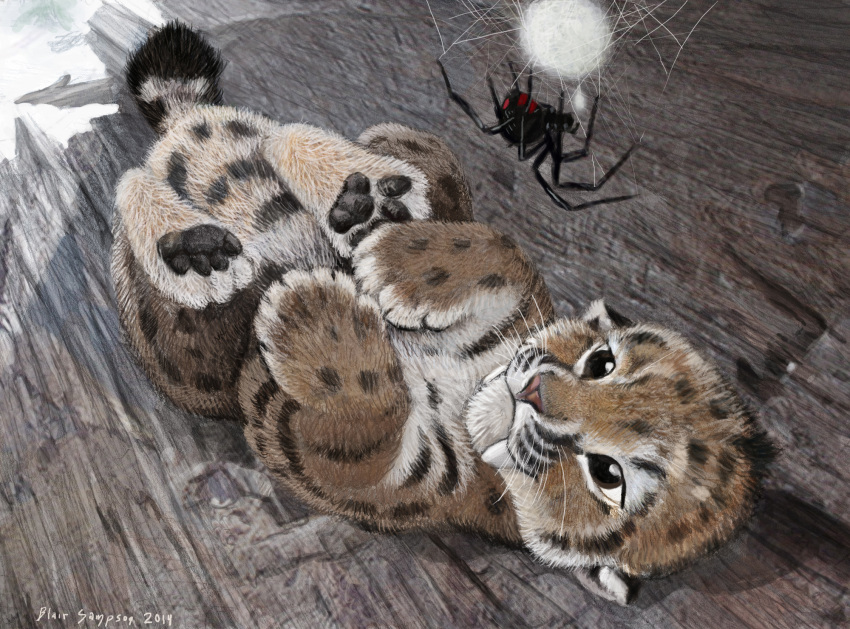 2014 4_toes abdomen ambiguous_gender arachnid arthropod black_body black_fur black_pawpads black_spots black_stripes black_tail black_widow brown_eyes brown_fur countershade_face countershade_legs countershade_torso countershading cub cute digital_media_(artwork) digital_painting_(artwork) duo egg egg_sack fangs featureless_crotch feline feral fur hi_res hindpaw inner_ear_fluff lighting log looking_at_another lying mammal markings multi_leg multi_limb multicolored_fur on_back pawpads paws psithyrus quadruped red_body red_markings red_nose saber-toothed_cat sabertooth_(feature) shadow signature smile snout spider spider_web spinnerets spots spotted_fur striped_fur stripes toes two_tone_body two_tone_tail upside_down web whiskers white_countershading white_fur white_tail wood young