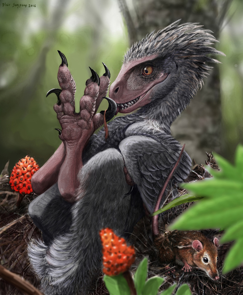 2016 5_toes absurd_res ambiguous_gender auto_foot_lick beady_eyes biped black_claws blurred_background brown_claws brown_eyes brown_fur claws cute depth_of_field digital_media_(artwork) digital_painting_(artwork) dinosaur duo feathered_dinosaur feathered_wings feathers feral food foot_fetish foot_lick fruit fur grey_feathers grey_tail grey_wings hi_res in_tree leaf licking long_tail lying mammal multicolored_fur muzzle_scabs nest on_back pink_sclera pink_tail preening psithyrus pubic_boot quadruped raptor rodent sharp_teeth signature smile snout solo_focus spots spotted_fur striped_fur stripes tail_feathers talons teeth theropod toe_claws toes tongue tongue_out tree two_tone_fur whiskers white_fur white_spots white_stripes winged_arms wings