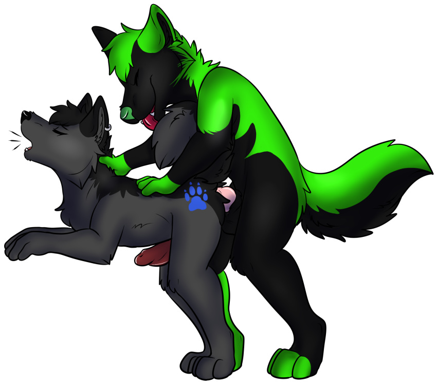alpha_channel anal anal_penetration animal_genitalia animal_penis anthro anthro_on_anthro balls bent_over black_fur black_hair black_nose butt canine canine_penis crossybear_(artist) duo erection eyes_closed from_behind_position fur green_hair green_nose hair hi_res male male/male male_penetrating mammal multicolored_fur nude open_mouth penetration penis sex simple_background tongue tongue_out transparent_background two_tone_fur wolf