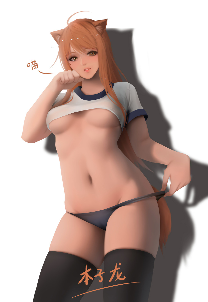 animal_ears black_legwear blue_buruma breasts brown_eyes brown_hair buruma buruma_pull cat_ears cat_tail crop_top gym_uniform highres lips long_hair looking_at_viewer medium_breasts navel original parted_lips paw_pose solo standing tail thighhighs underboob white_background zyl