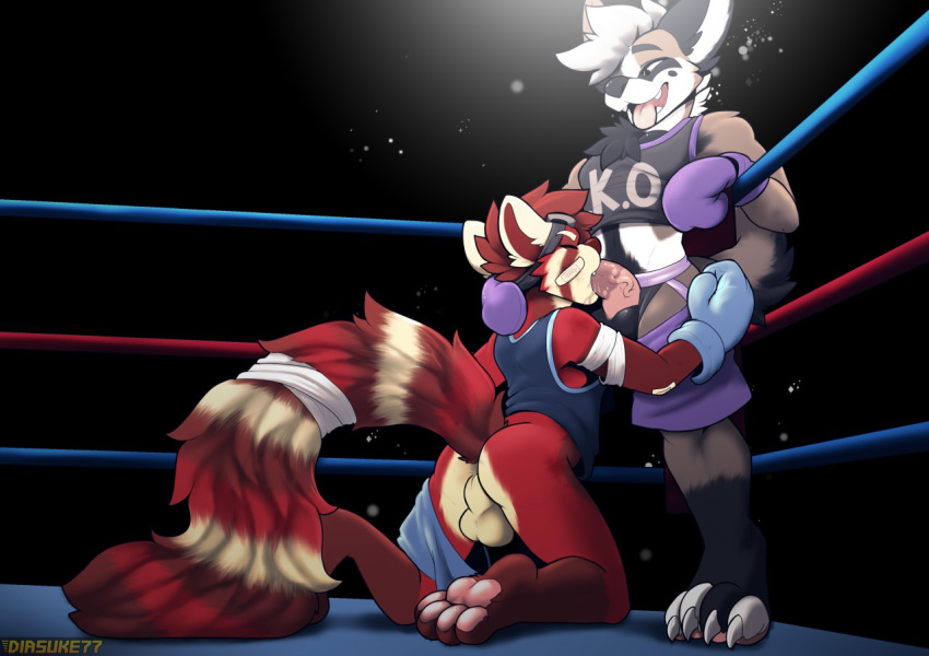 anthro backsack balls band-aid bandage black_background bottomless boxing boxing_gloves brown_fur clothed clothing diasuke77 duo eyes_closed fellatio fighting_ring fur male male/male mammal oral pants_down partially_clothed red_fur red_panda saliva sex shirt simple_background sport tank_top timburrs tongue tongue_out