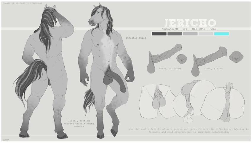 andalusian animal_genitalia animal_penis anthro anus athletic balls blue_eyes equine equine_penis erection fully_sheathed hair horse jericho_(ulfhednar) long_hair male mammal mane model_sheet muscular muscular_male oouna penis sheath standing