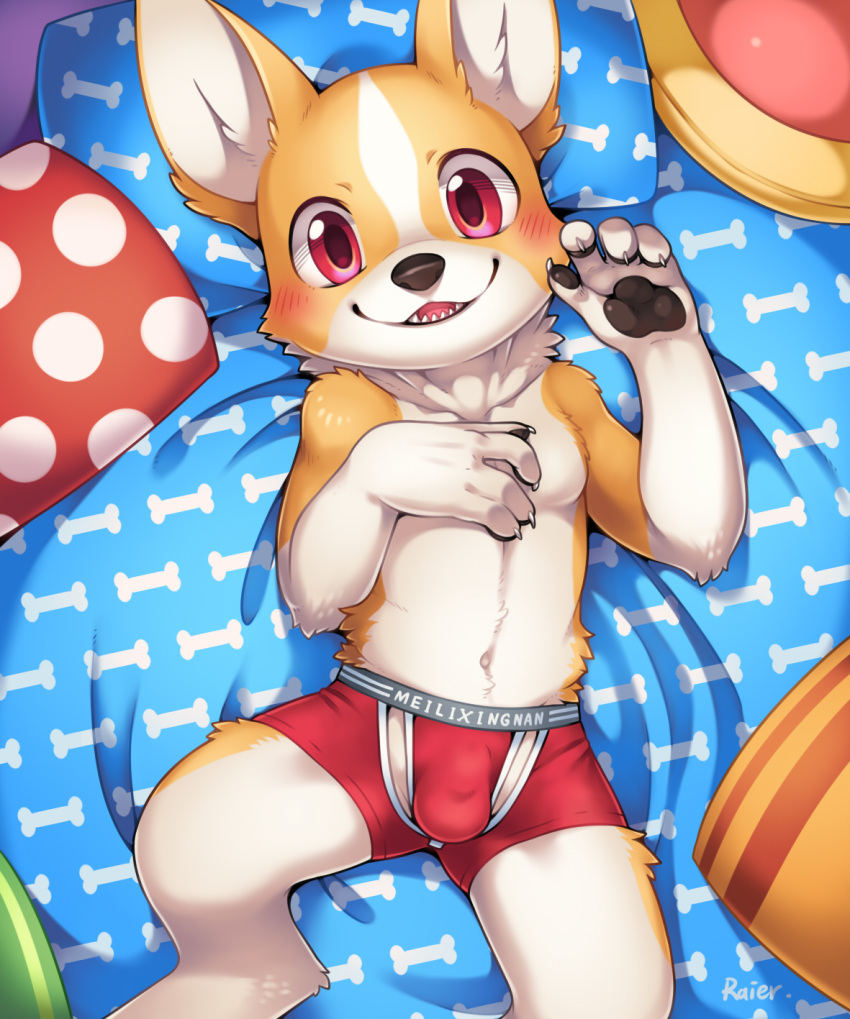 anthro bed blush boxers_(clothing) bulge canine claws clothing corgi cub dog fur looking_at_viewer lying male mammal navel on_back pawpads pillow red_eyes smile solo underwear unrealplace young
