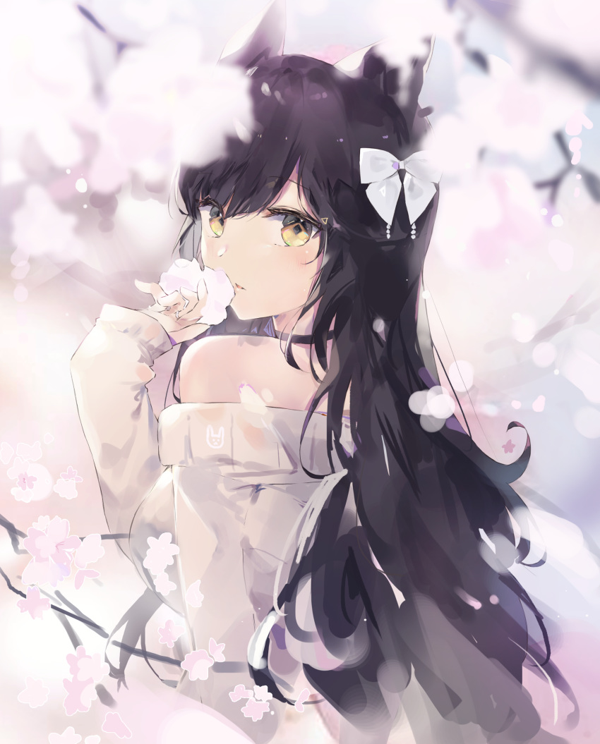 animal_ears bangs black_hair cat_ears cherry_blossoms choker commentary_request cowboy_shot dress flower hair_ribbon highres holding holding_flower long_hair original parted_lips ribbon sweater sweater_dress swept_bangs tr_(hareru) yellow_eyes