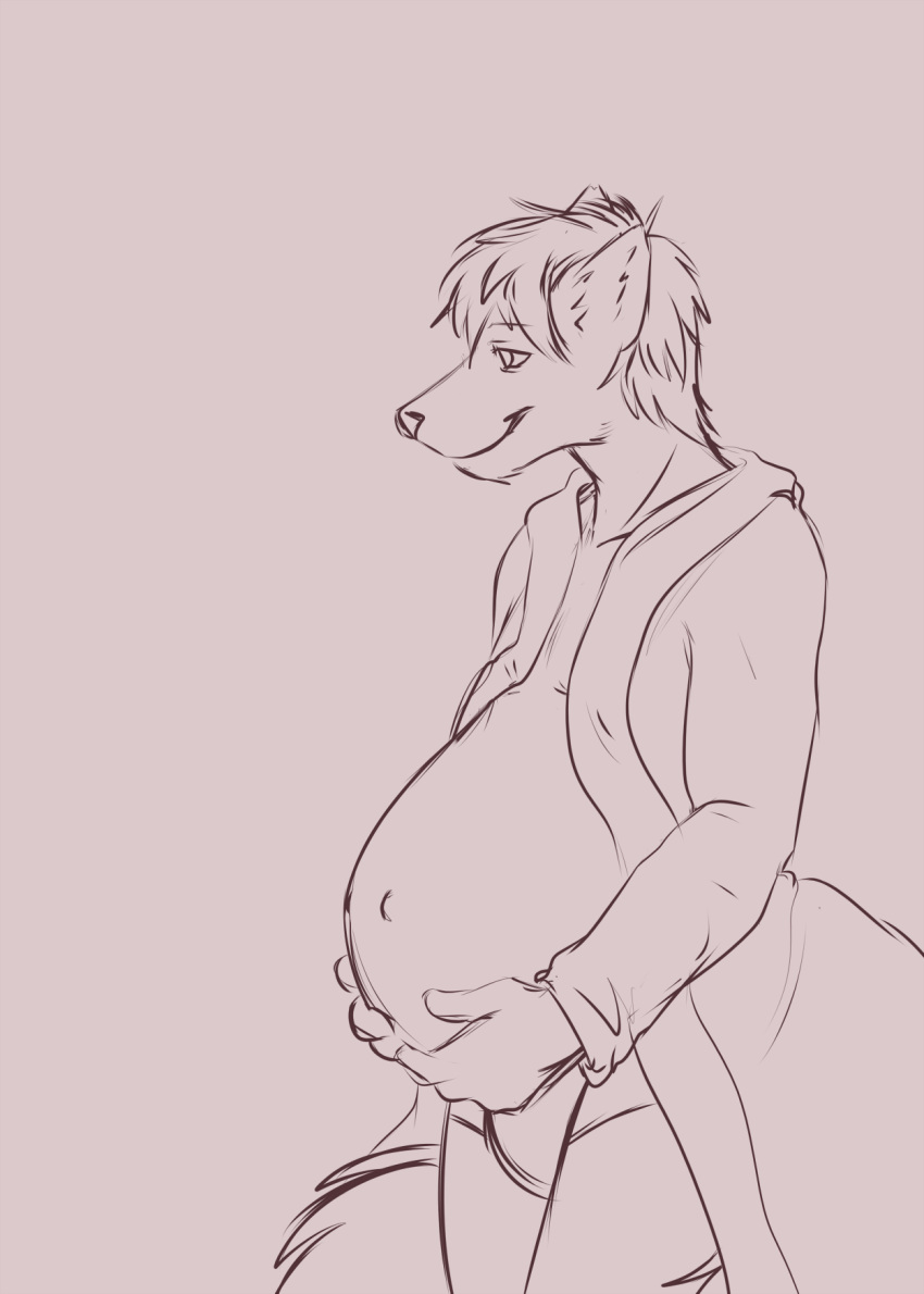 2018 anthro belly briefs bulge canine clothing dog husky jake_the_huskeh male male_pregnancy mammal pregnant rekz simple_background solo underwear unfinished