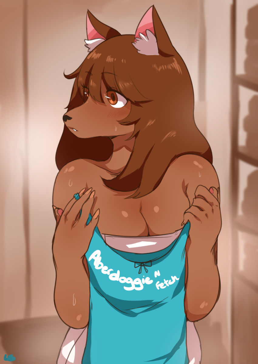 angel_(lightsource) anthro breasts brown_eyes brown_fur brown_hair canine cleavage clothed clothing dog female fur hair lightsource mammal solo towel