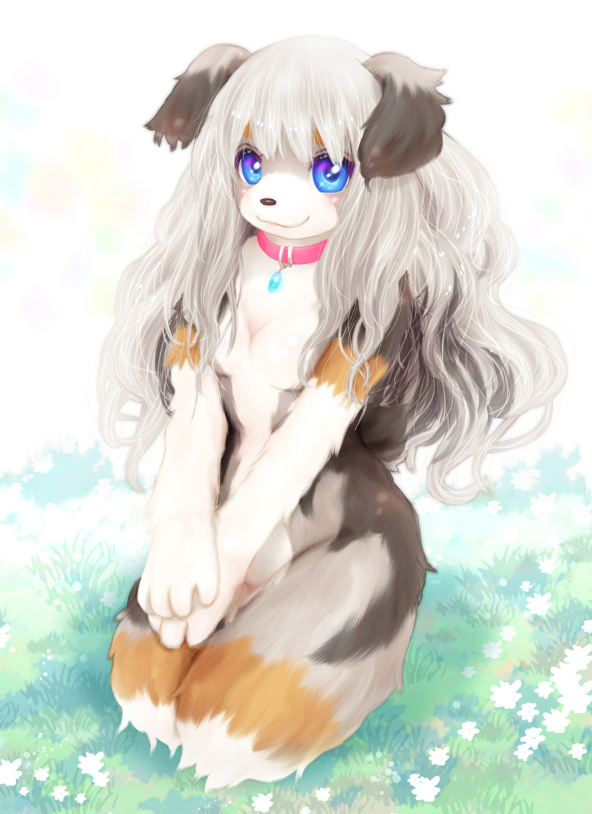 1girl blue_eyes dog furry grey_hair long_hair nude smile solo tashiro_yuu