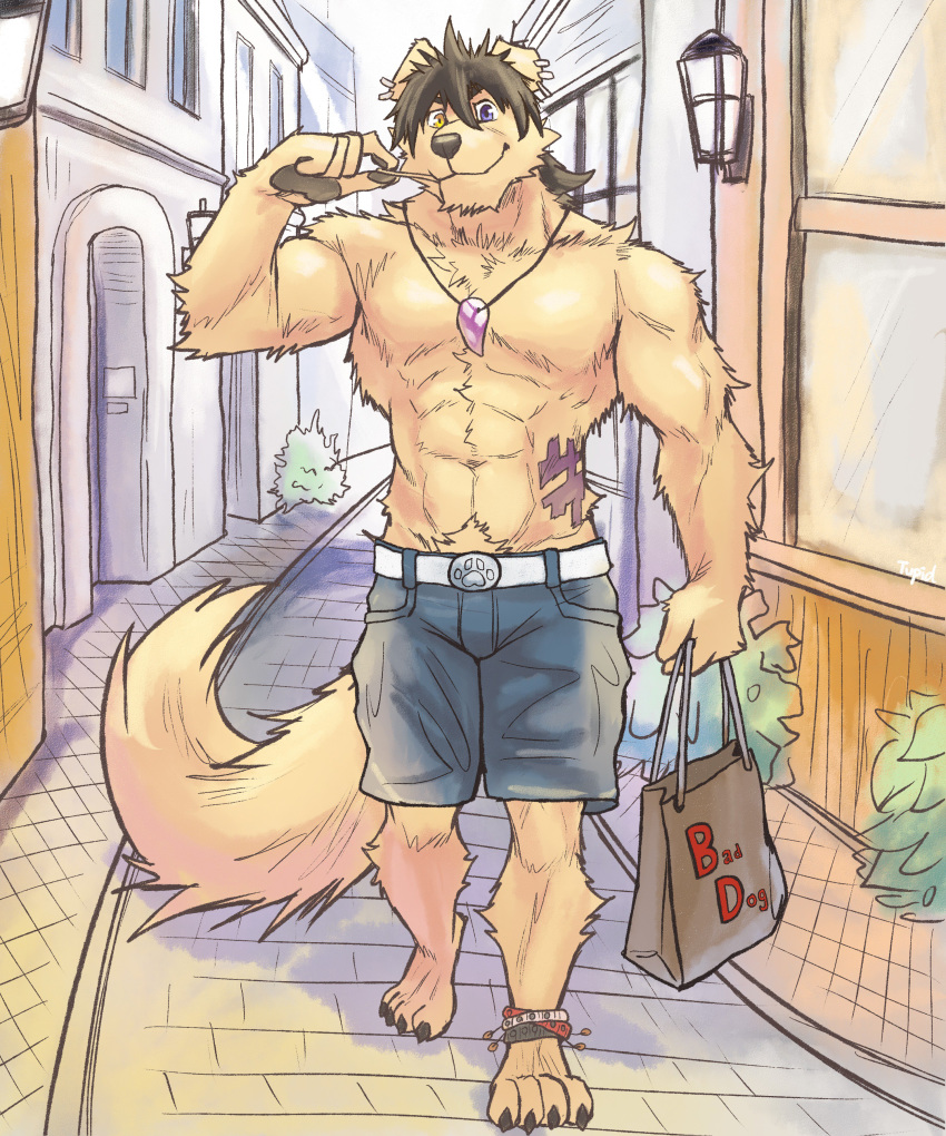 2018 abs absurd_res anthro belt biceps canine clothed clothing digital_media_(artwork) dog fur hair heterochromia hi_res kemono male mammal muscular muscular_male necktie pecs shorts tattoo tupidwithouts