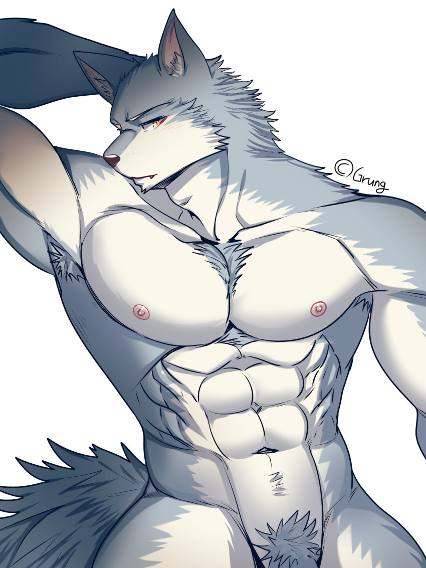 2018 abs anthro biceps black_nose canine chest_tuft digital_media_(artwork) fur grung hi_res male mammal muscular muscular_male nipples nude pecs tuft wolf