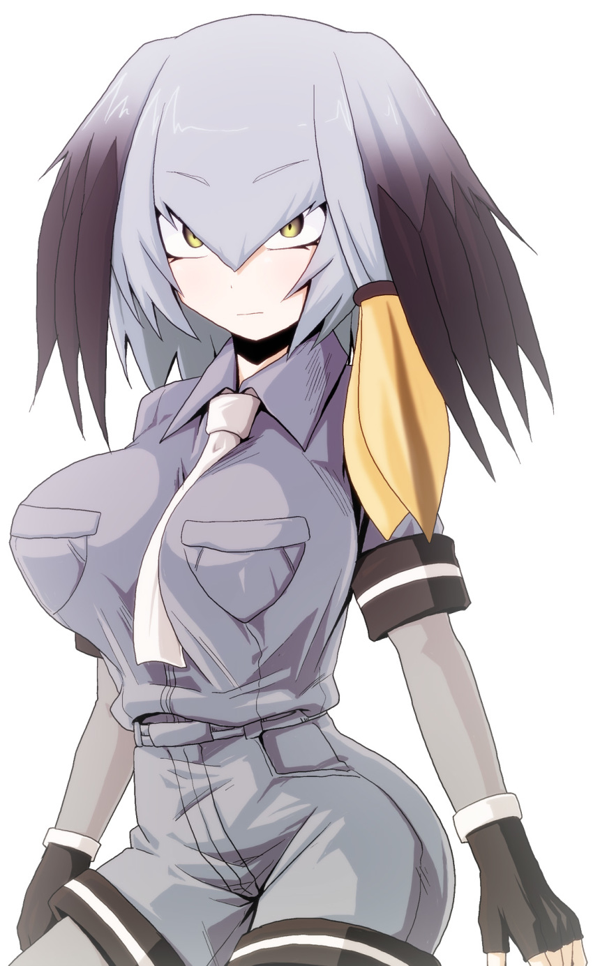 arms_at_sides bangs between_breasts black_gloves black_hair bodystocking breast_pocket breasts closed_mouth collared_shirt commentary_request expressionless eyebrows_visible_through_hair fingerless_gloves gloves grey_hair grey_shirt grey_shorts hair_between_eyes highres impossible_clothes impossible_shirt kamishima_kanon kemono_friends large_breasts long_hair long_sleeves looking_at_viewer low_ponytail multicolored_hair necktie necktie_between_breasts no_tail orange_hair pantyhose pocket shirt shoebill_(kemono_friends) short_over_long_sleeves short_sleeves shorts side_ponytail simple_background solo upper_body white_background white_neckwear yellow_eyes