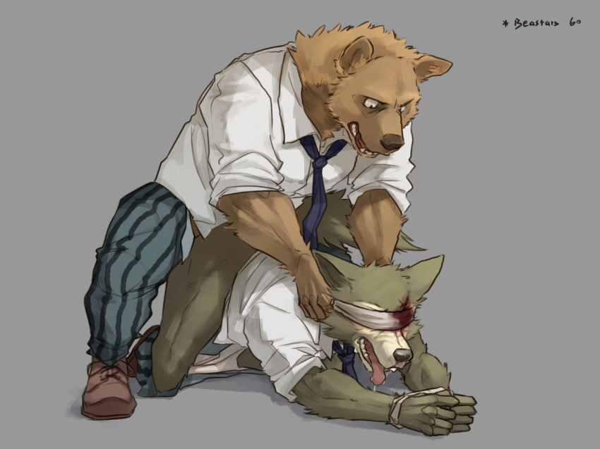 496549736 anthro bear beastars blindfold blood canine clothed clothed_sex clothing duo forced from_behind_position grey_background legosi_(beastars) male male/male mammal muscular partially_clothed rape riz_(beastars) sex simple_background tongue tongue_out wolf