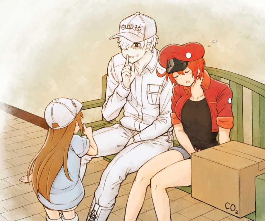 2girls ae-3803 ahoge baseball_cap bench box breast_pocket brown_hair closed_eyes clothes_writing commentary_request cropped_jacket finger_to_mouth from_behind hair_over_one_eye hat hataraku_saibou long_hair multiple_girls otonari platelet_(hataraku_saibou) pocket red_blood_cell_(hataraku_saibou) red_hair shorts shushing sitting sleeping u-1146 white_blood_cell_(hataraku_saibou) white_hair white_skin