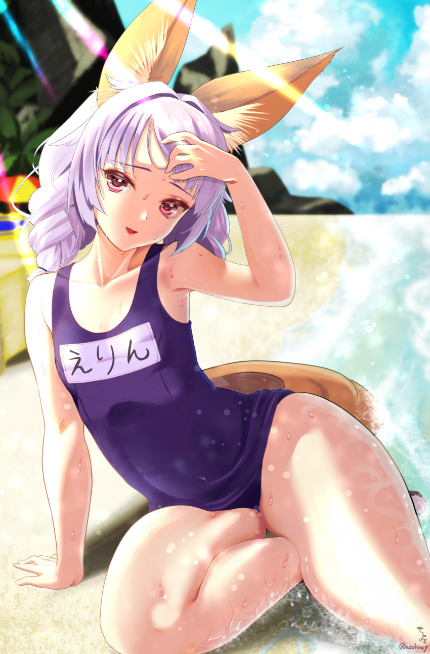 adjusting_hair animal_ears arm_support arm_up armpits beach blue_swimsuit braid cloud commentary_request day dog_ears dog_tail elin_(tera) hair_intakes hand_on_own_head highres kumehara_chiyota leaning_to_the_side legs long_hair looking_at_viewer ocean one-piece_swimsuit open_mouth outdoors purple_eyes purple_hair school_swimsuit sitting sky smile solo swimsuit tail tera_online thighs twin_braids twintails