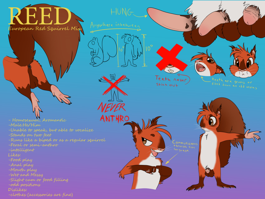 2018 anus backsack balls claws erection flaccid invalid_tag male mammal model_sheet open_mouth penis reed_(scuzzyfox) rodent scuzzyfox semi-anthro sign_language squirrel teeth