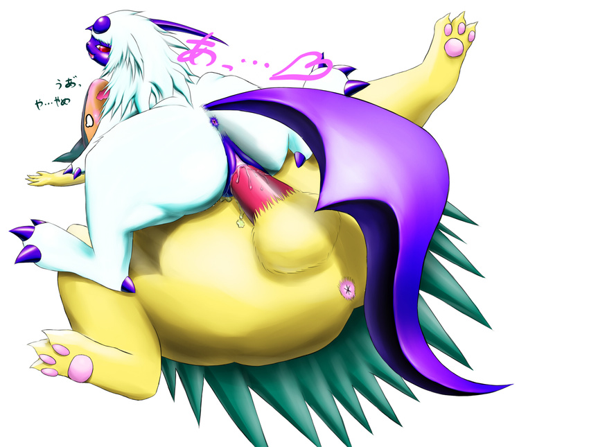 absol pokemon tagme typhlosion