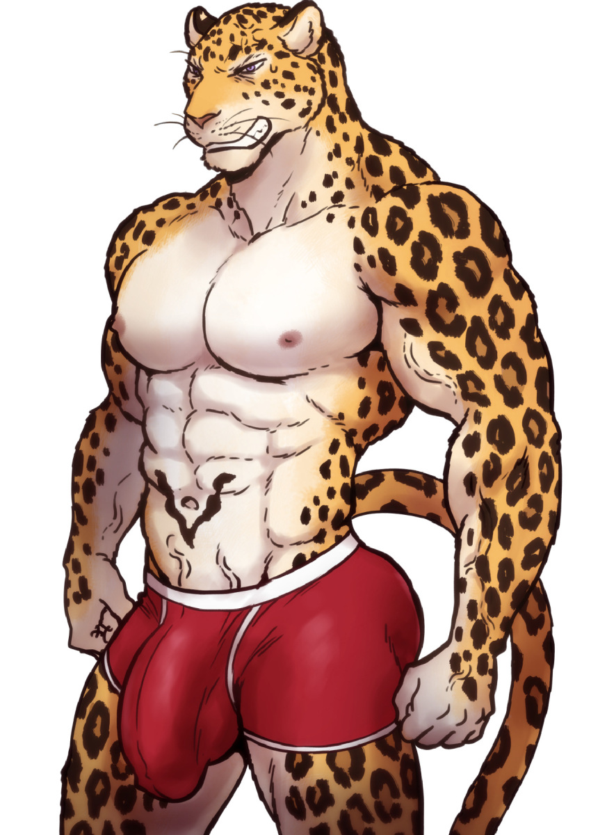 2018 abs anthro biceps biped black_fur black_spots black_tail blue_eyes boxers_(clothing) bulge clothed clothing digital_media_(artwork) feline front_view fur grin hi_res leopard long_tail male mammal maririn multicolored_fur multicolored_tail muscular muscular_male navel nipples pecs penis_outline pink_nipples pink_nose portrait red_clothing red_underwear simple_background smile solo spots spotted_fur spotted_tail standing tattoo teeth three-quarter_portrait tobias_(maririn) topless two_tone_tail underwear vein veiny_muscles whiskers white_background white_fur yellow_fur yellow_tail
