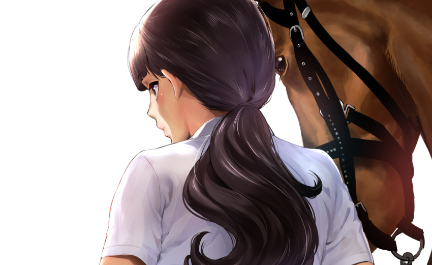 animal blush bridle brown_eyes brown_hair closed_mouth commentary_request eyebrows_visible_through_hair from_behind horse iku_(ikuchan_kaoru) long_hair low_ponytail original pink_lips profile shirt short_sleeves simple_background solo upper_body white_background white_shirt