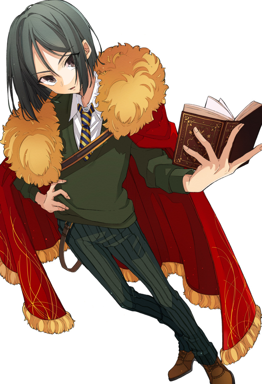 absurdres black_eyes black_hair black_neckwear book brown_eyes cape collared_shirt fate/grand_order fate/zero fate_(series) fur_trim highres holding holding_book huge_filesize long_sleeves looking_at_viewer male_focus necktie osanai pants red_cape shirt simple_background solo sweater waver_velvet white_background white_shirt