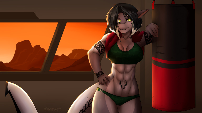 2018 5_fingers abs anthro biped black_hair booty_shorts breasts cleavage clothed clothing detailed_background digital_media_(artwork) female fin fish fish_tail grey_skin grey_tail hair hand_on_hip leaning long_tail marine multicolored_hair multicolored_skin punching_bag shark shorts smile solo tail_fin tattoo two_tone_hair two_tone_skin white_hair xaenyth yellow_eyes