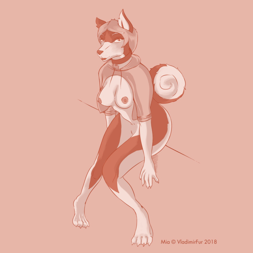 2018 4_toes 5_fingers anthro barefoot biped bottomless breasts brown_background canine claws clothed clothing collar digital_media_(artwork) dog exposed_breasts eyebrows female front_view hair hi_res hoodie husky ineffective_clothing looking_at_viewer mammal monochrome nipples sepia short_hair simple_background sitting solo toe_claws toes twitter_hoodie vladimirfur