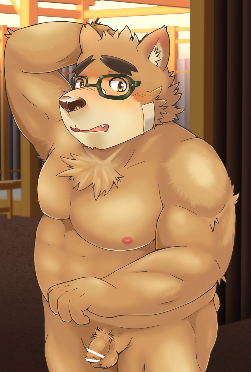 2018 5keys_x86 anthro balls bear belly blush brown_fur eyewear flaccid fur glasses humanoid_hands male mammal moobs nipples overweight overweight_male penis solo tokyo_afterschool_summoners volos