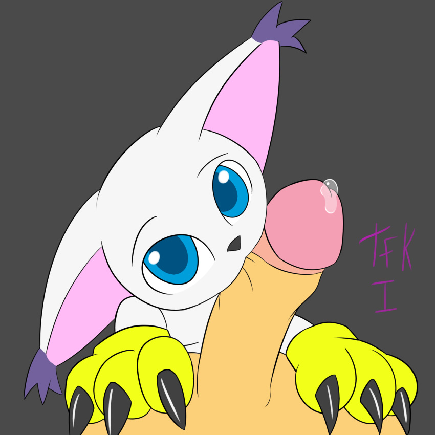 ambiguous_gender anthro big_penis cub digimon duo erection feline gatomon hi_res humanoid_penis looking_at_viewer male male/ambiguous mammal oral paws penis precum solo_focus thefurryking1 young